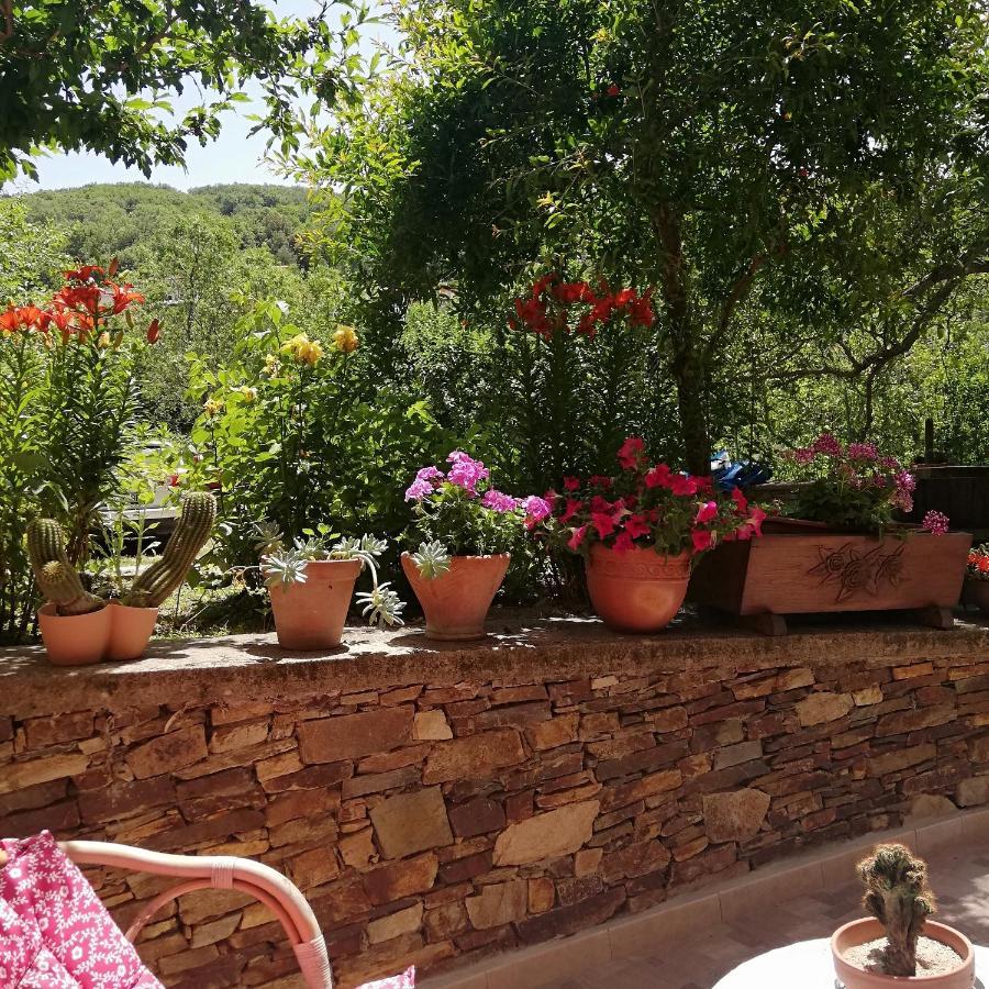 Agrifoglio B&B Con Giardino Aritzo Exterior photo