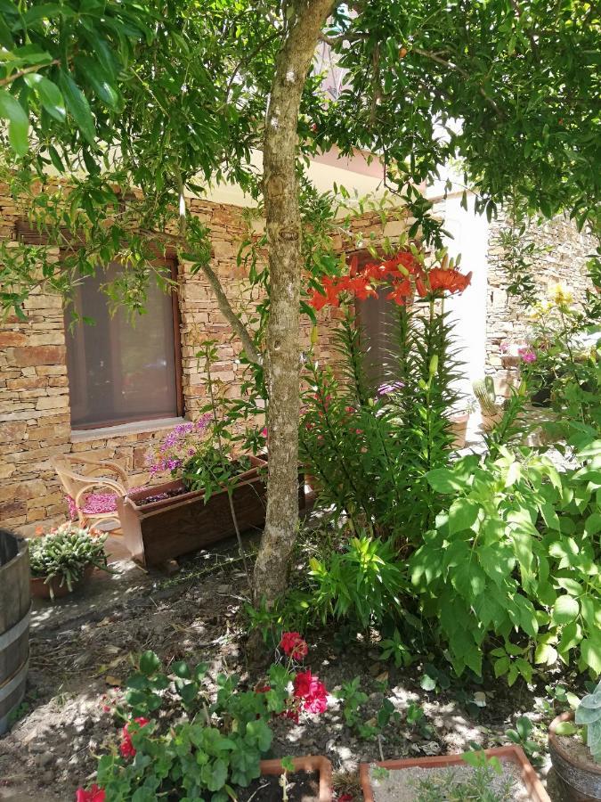 Agrifoglio B&B Con Giardino Aritzo Exterior photo